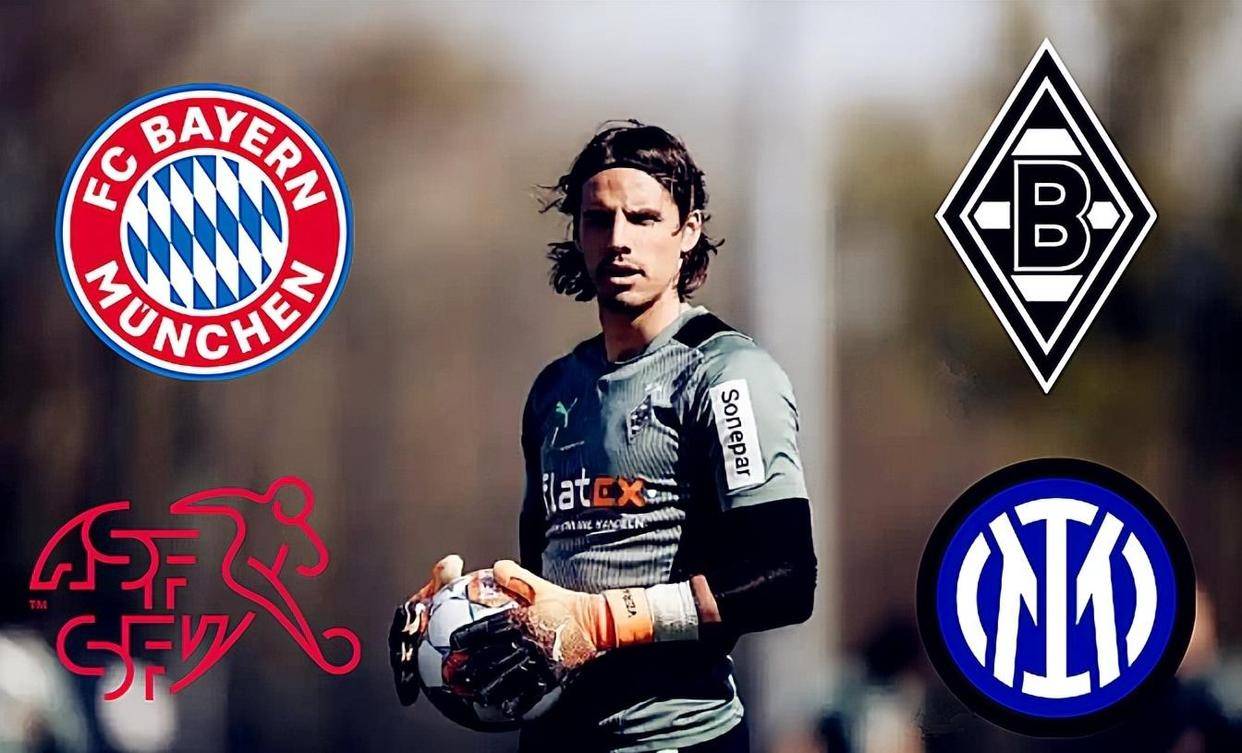 荷兰最强十大巨星